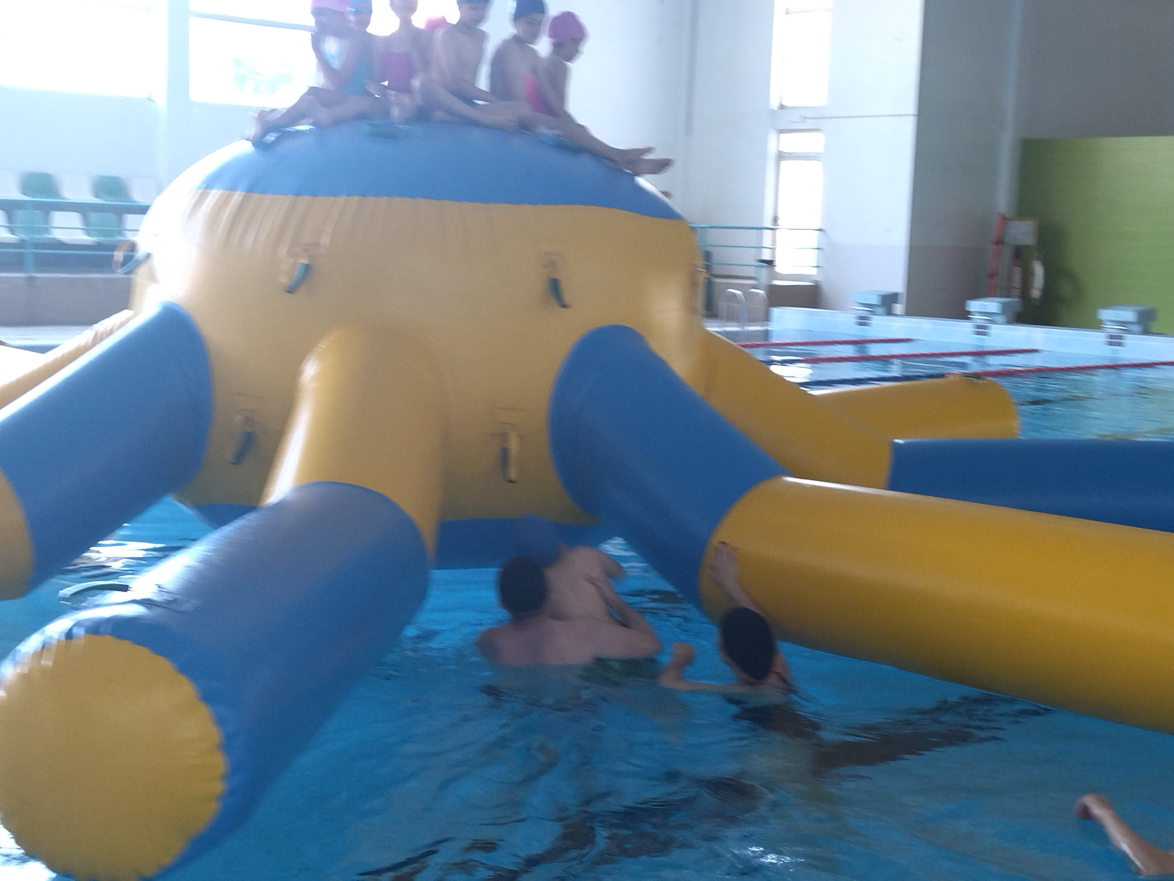 IMG_20220610_103956.jpg